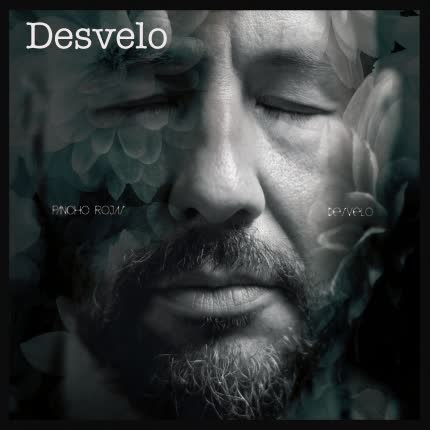 Carátula Desvelo (Single)